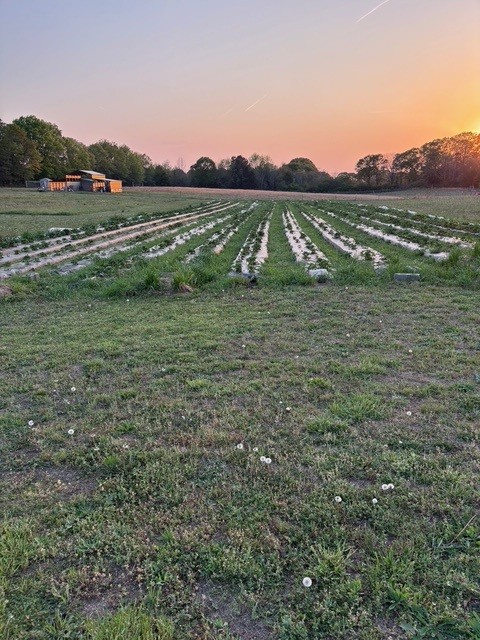 7900 Highway 81 Starr, SC 29684 - Photo 23 of 24