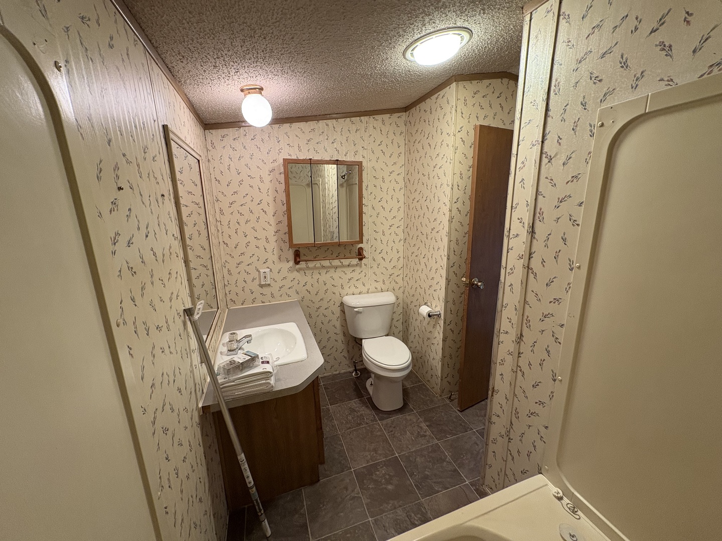 2003 Maple Acres Drive Princeton, IL 61356 - Photo 9 of 14 a bathroom with a sink and mirror with toilet