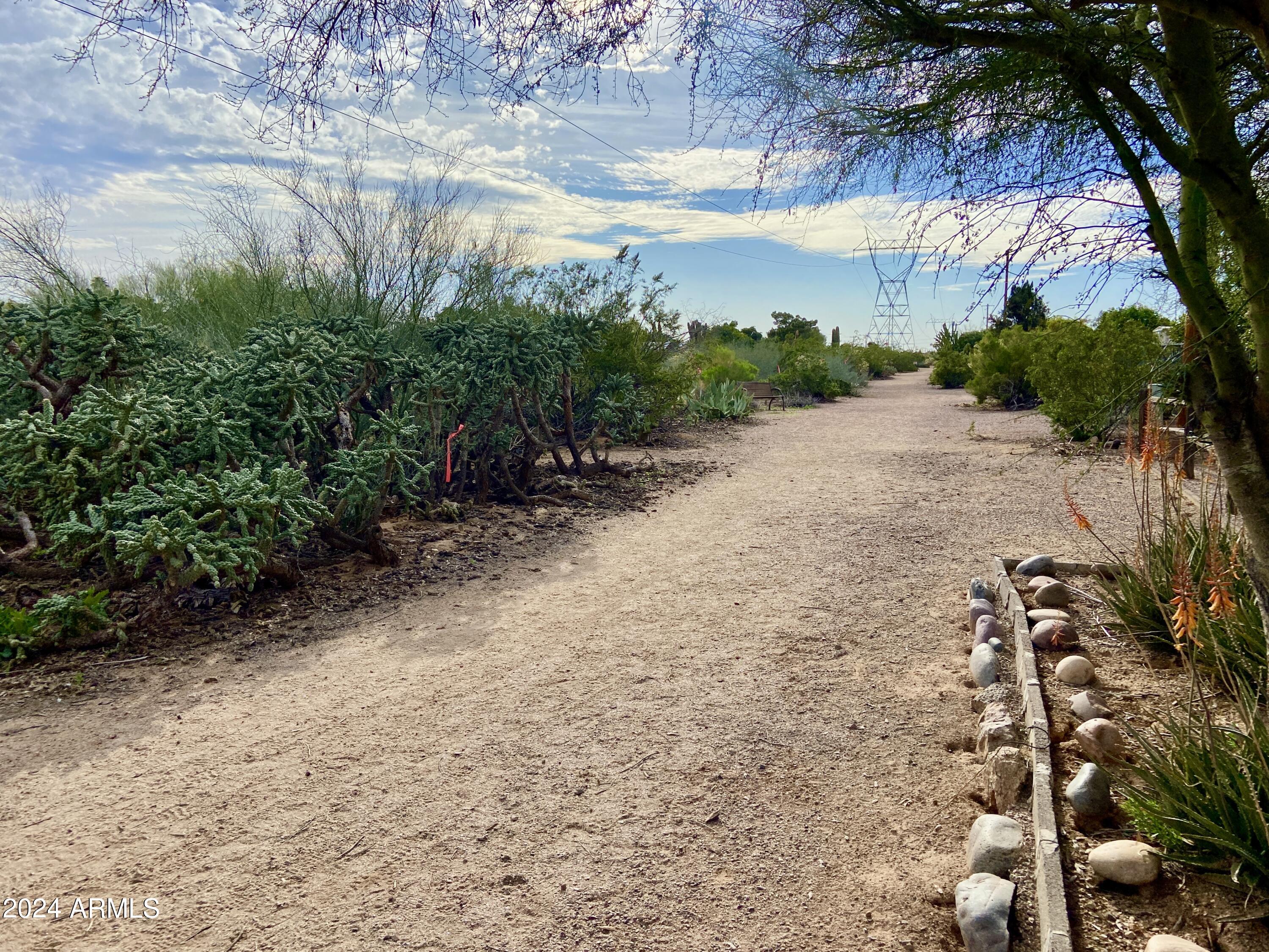5905 East Decatur Street Mesa, AZ 85205 - Photo 33 of 33 IMG_1505
