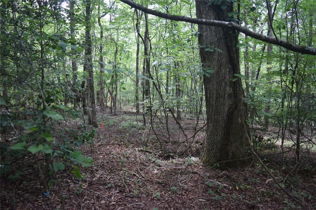 792 Lower Dowda Mill Road Jasper, GA 30143 - Photo 29 of 35