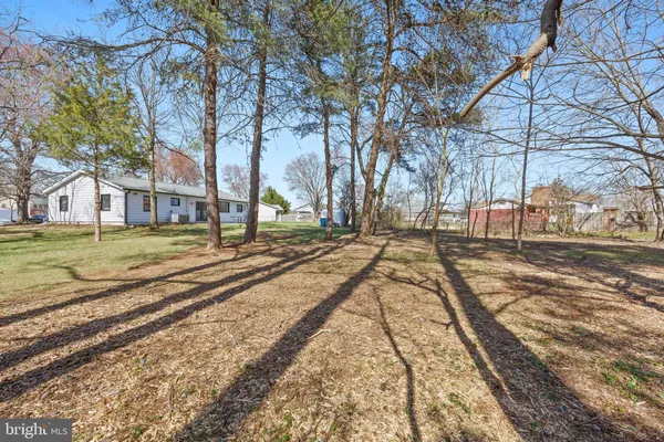 a view of yard with trees
