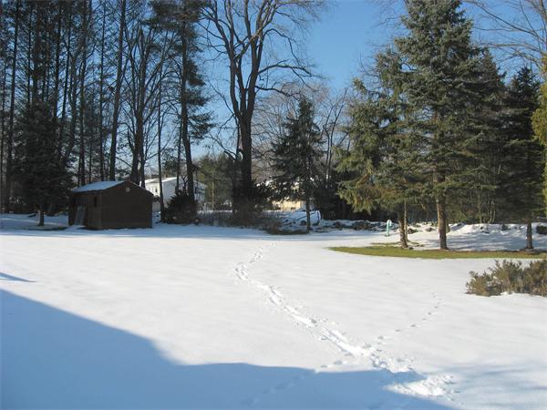 3 Blacksmith Road Wilbraham, MA 01095 - Photo 18 of 20