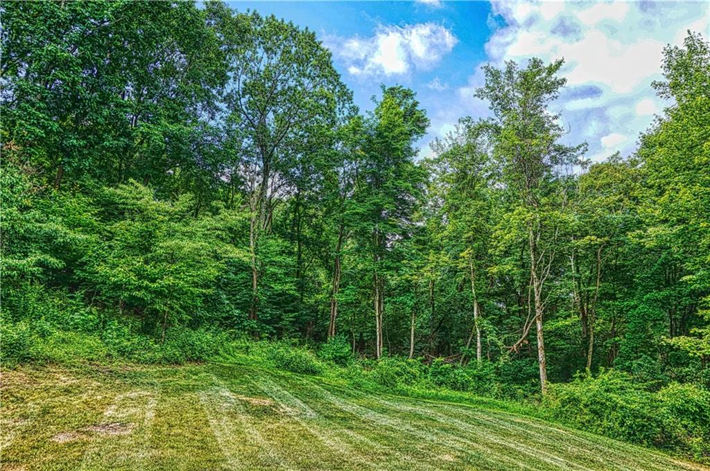 1123 Rural Ridge Drive Cheswick, PA 15024 - Photo 4 of 21 A wooded privacy buffer around the back yard!