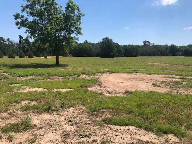 -henry Prairie Rd Henry Prairie Road, Unit COUNTYROAD Franklin, TX 77856 - Photo 11 of 17