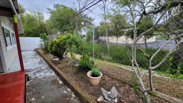 a view of a backyard with plants and a garden