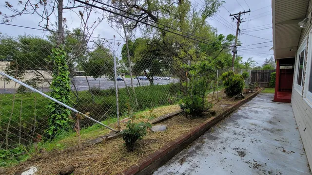 a view of a yard with plants and a bench
