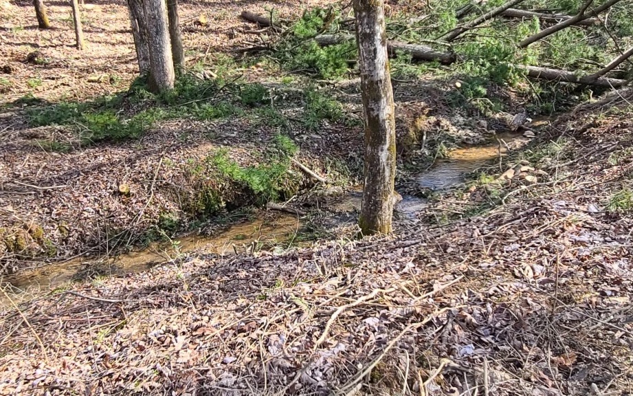 0 Persimmon Branch Road Murphy, NC 28906 - Photo 2 of 4 Additional View