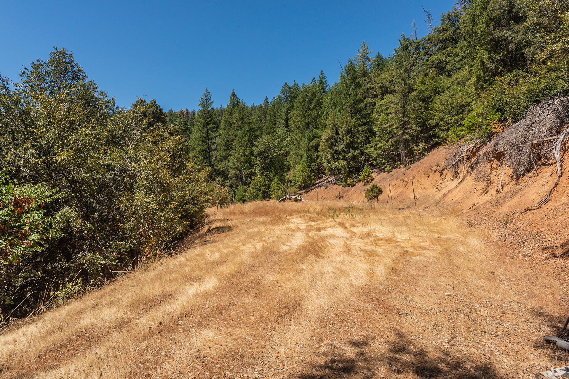 1511 Upper Moore Gulch Road Trinity Center, CA 96091 - Photo 15 of 62 DSC_6672