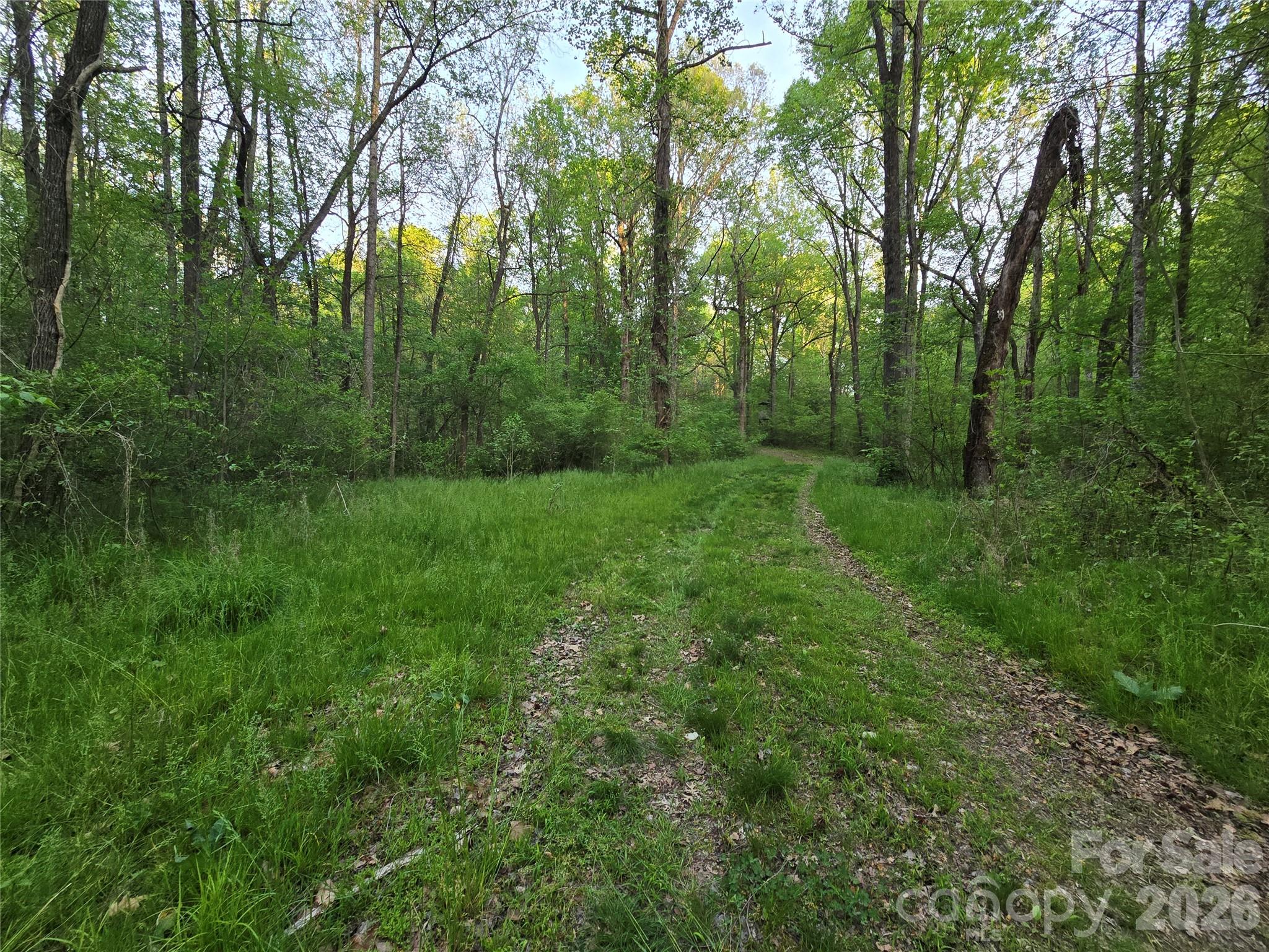 0 Ketchie Road Mount Ulla, NC 28125 - Photo 13 of 19 Gallery Image 13