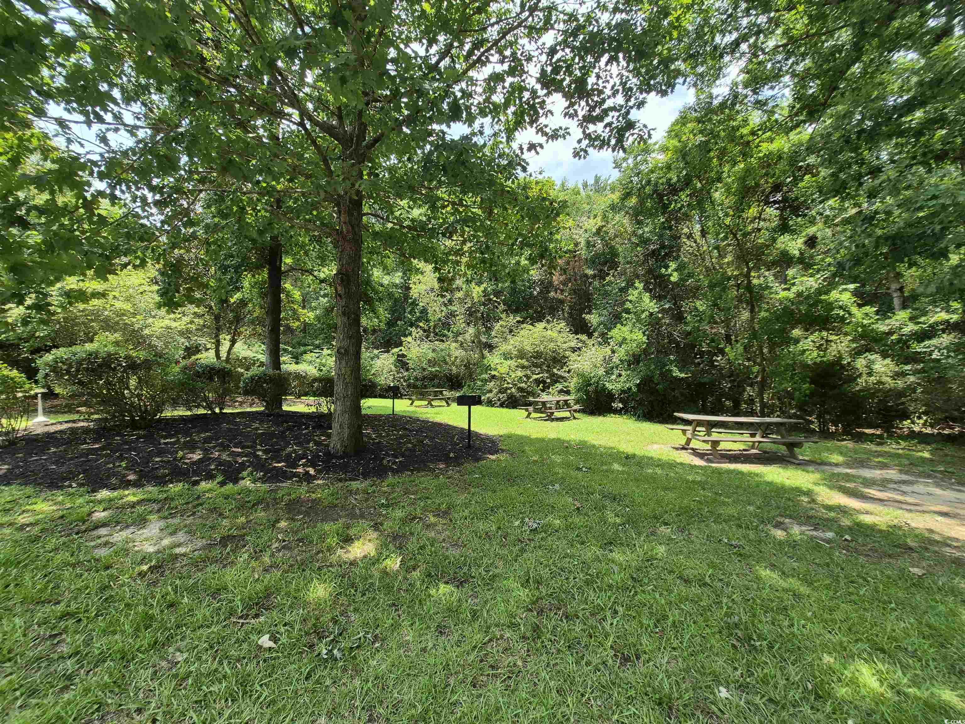 244 Colby Court Myrtle Beach, SC 29588 - Photo 30 of 33