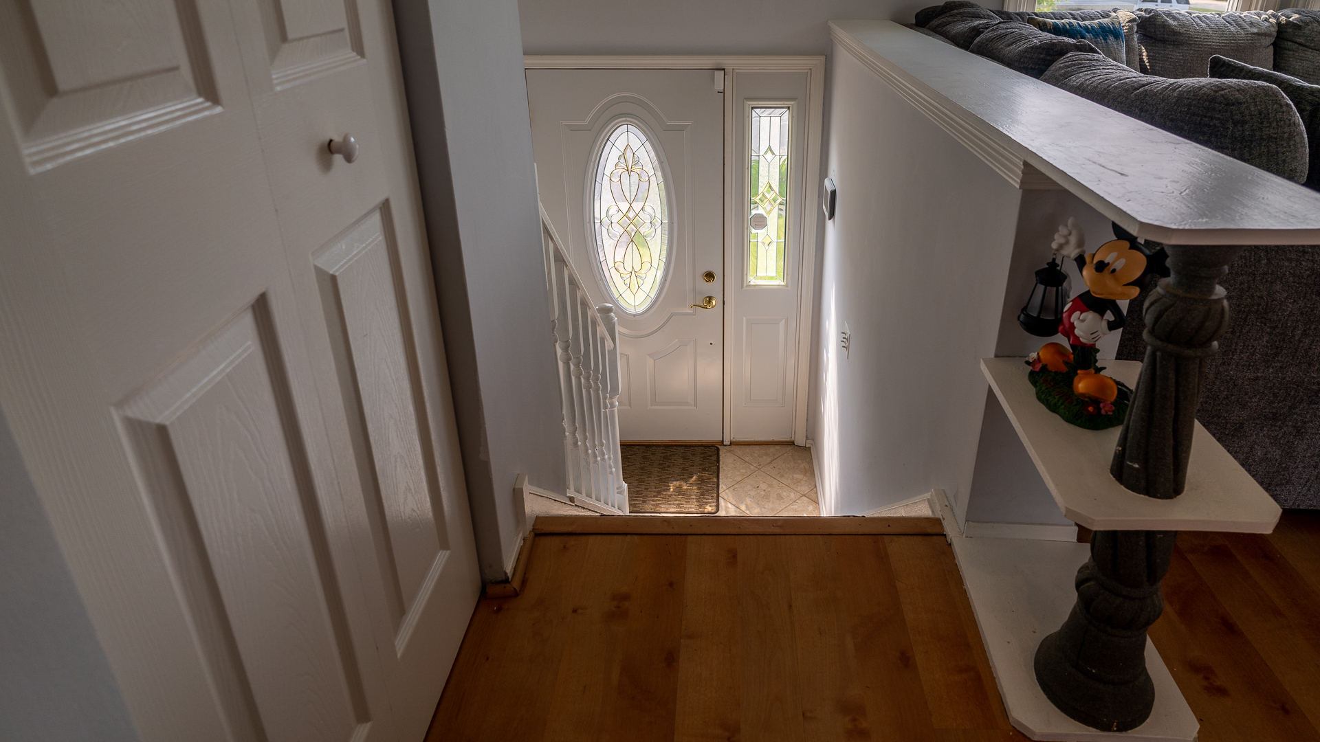 829 Prairie Avenue Bartlett, IL 60103 - Photo 18 of 25 a view of entryway with wooden floor