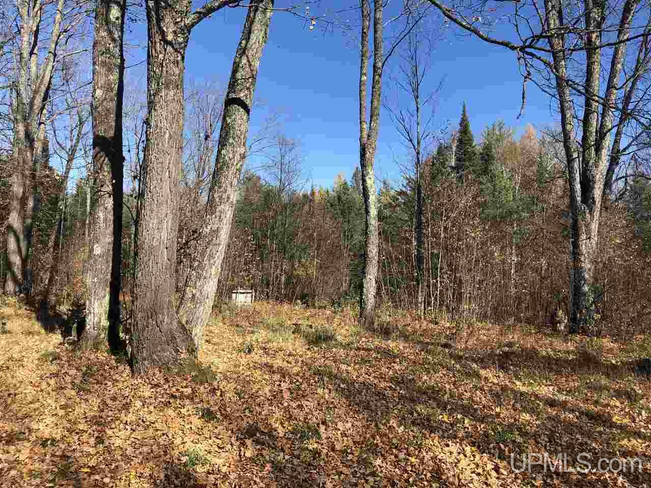 4007 Deer Lake Road Ishpeming, MI 49849 - Photo 36 of 36