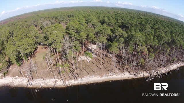 9094 Bay Road Magnolia Springs, AL 36555 - Photo 4 of 27 Bay Frontage