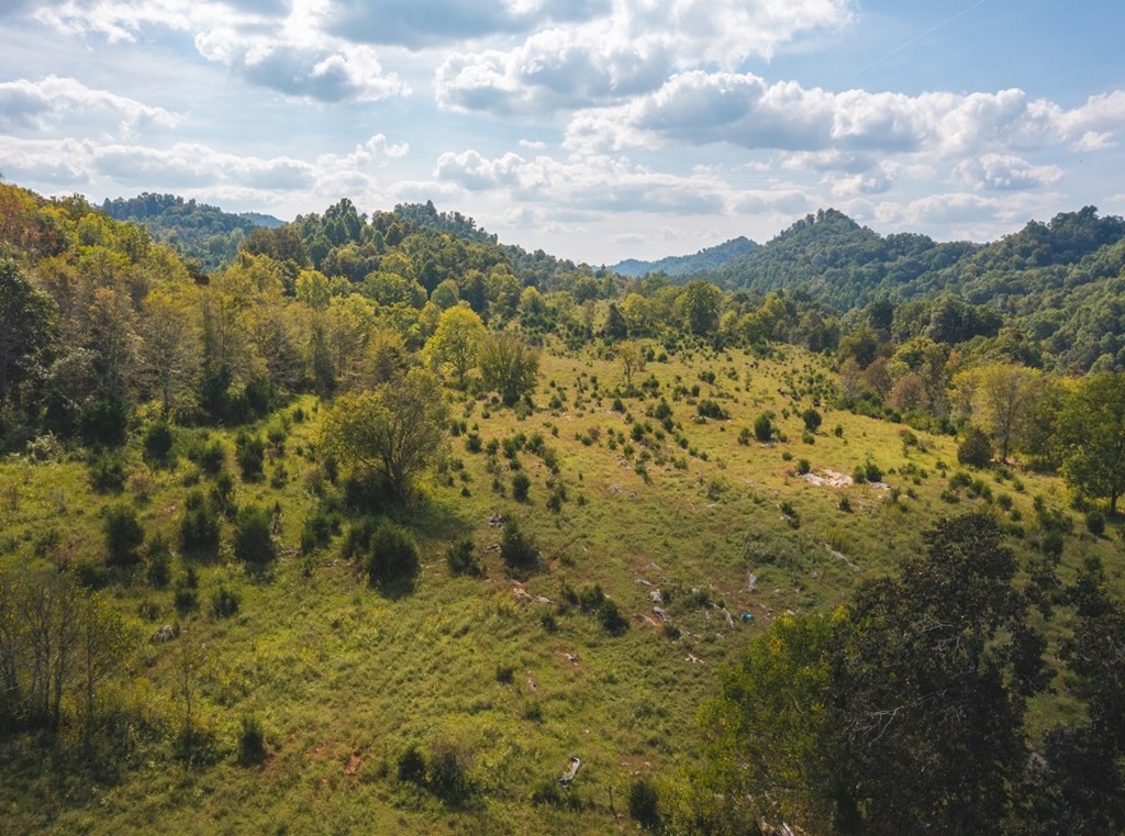 215 Ed Hollow Road Eidson, TN 37731 - Photo 23 of 60 Gallery Image 23