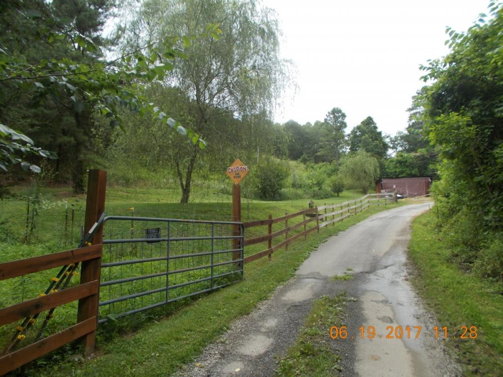 640 Little Heck Hollow Road Greeneville, TN 37745 - Photo 11 of 20 Photo 11