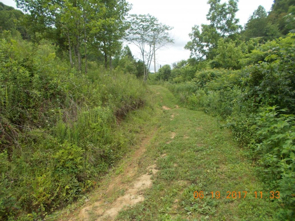 640 Little Heck Hollow Road Greeneville, TN 37745 - Photo 15 of 20 Photo 15