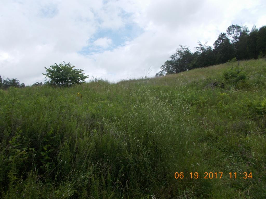 640 Little Heck Hollow Road Greeneville, TN 37745 - Photo 16 of 20 Photo 16