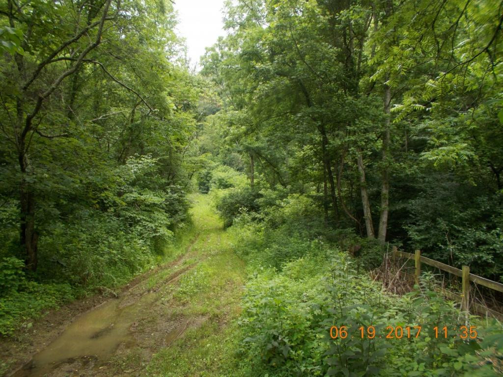 640 Little Heck Hollow Road Greeneville, TN 37745 - Photo 17 of 20 Photo 17