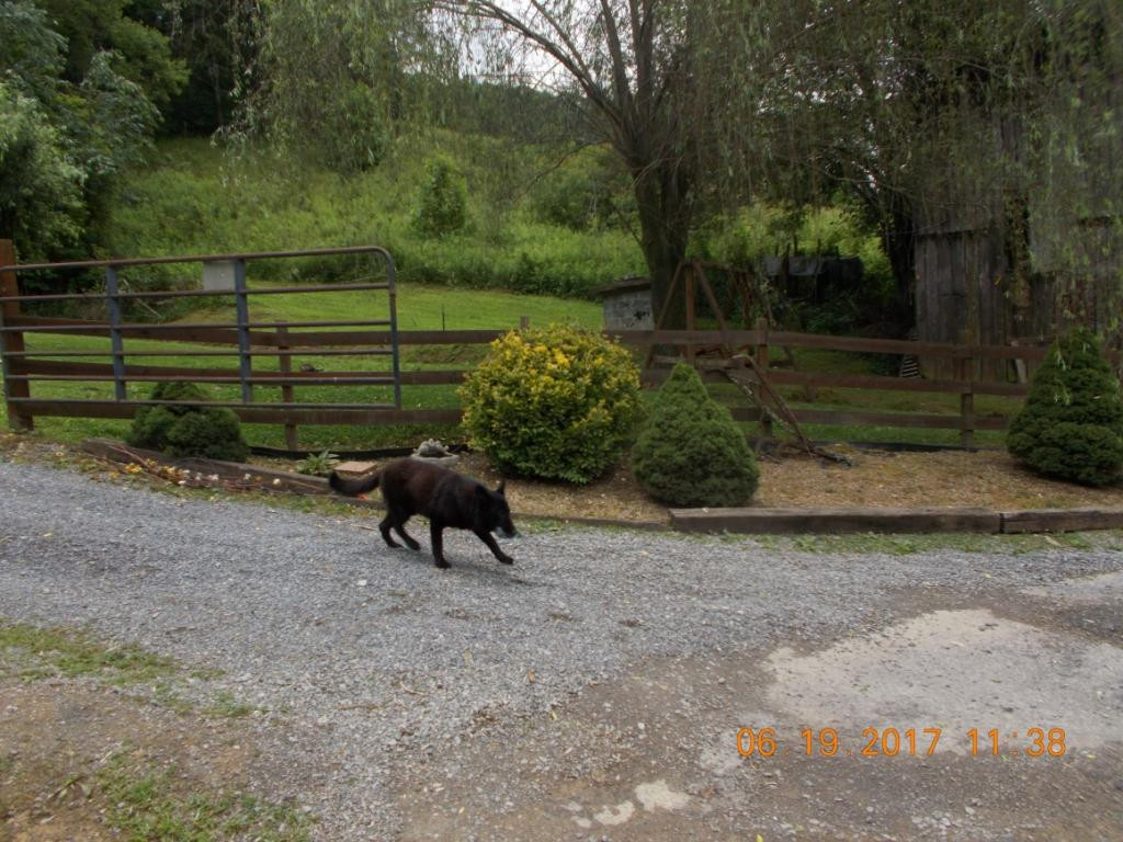 640 Little Heck Hollow Road Greeneville, TN 37745 - Photo 18 of 20 Photo 18