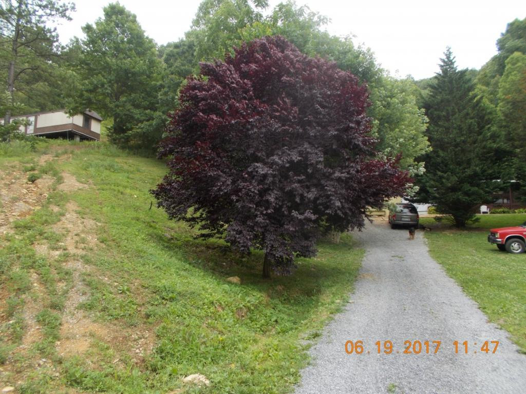 640 Little Heck Hollow Road Greeneville, TN 37745 - Photo 19 of 20 Photo 19