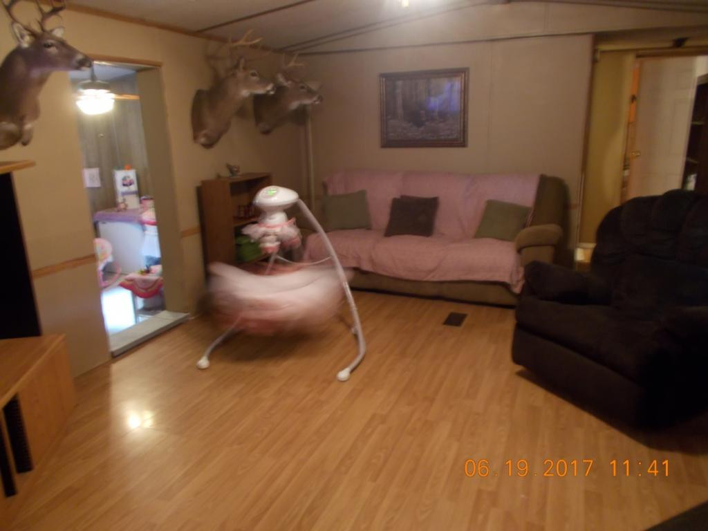 640 Little Heck Hollow Road Greeneville, TN 37745 - Photo 2 of 20 Photo 2