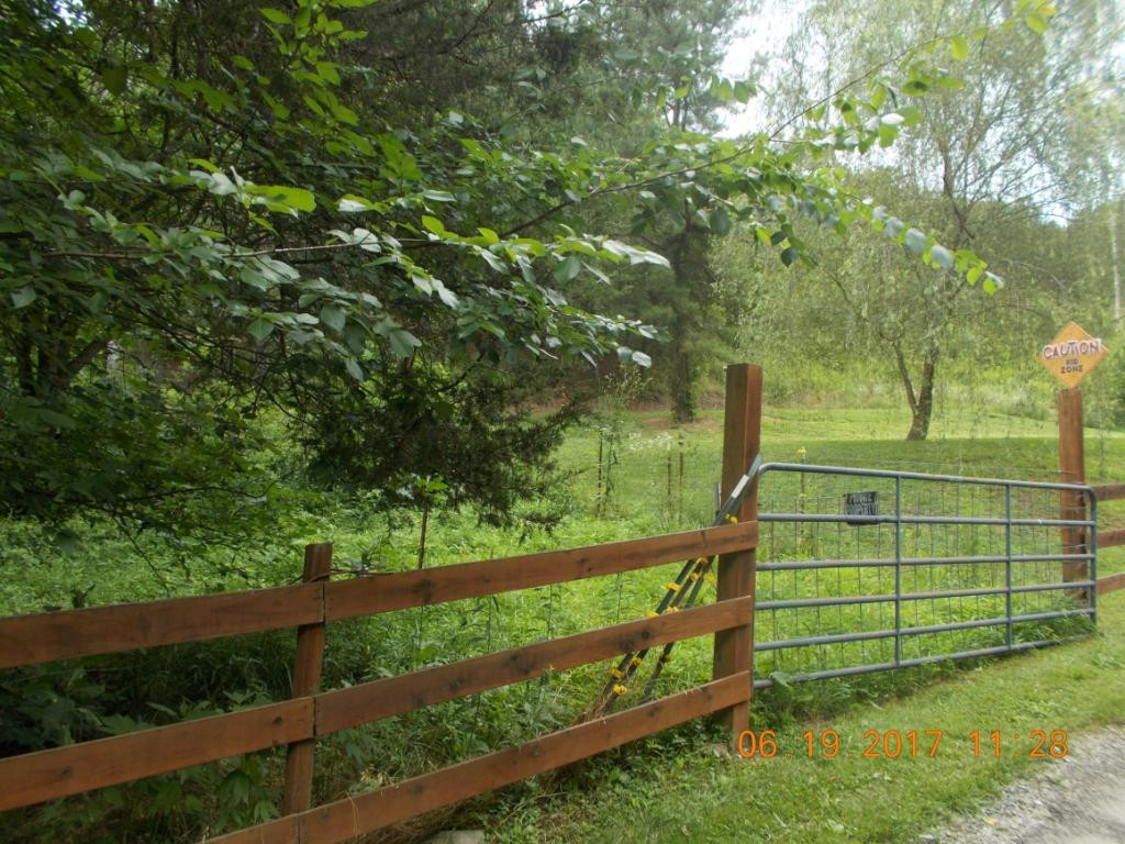 640 Little Heck Hollow Road Greeneville, TN 37745 - Photo 10 of 20 Photo 10