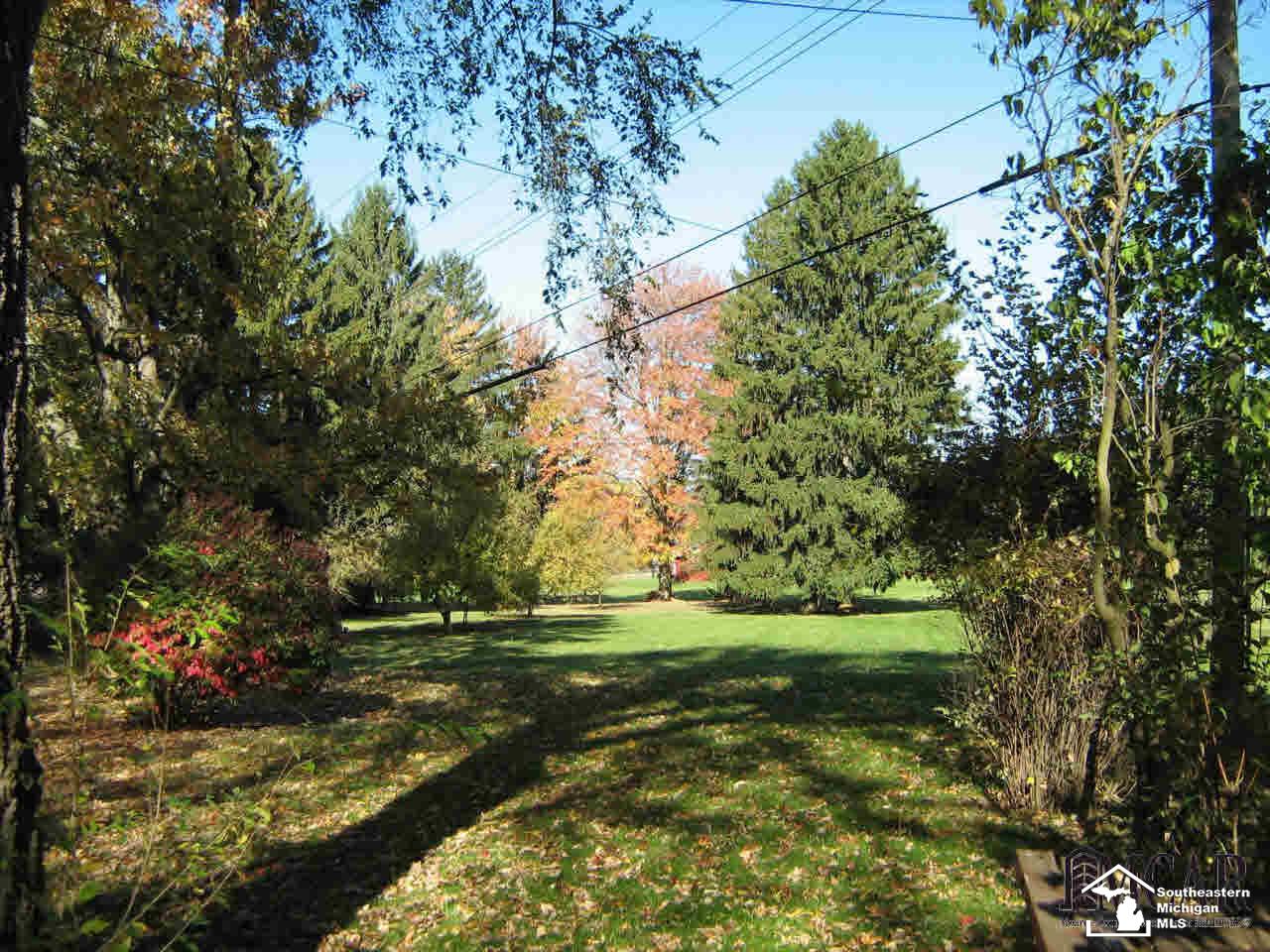 765 East Hurd Road Monroe, MI 48162 - Photo 5 of 10 VIEW OF YARD