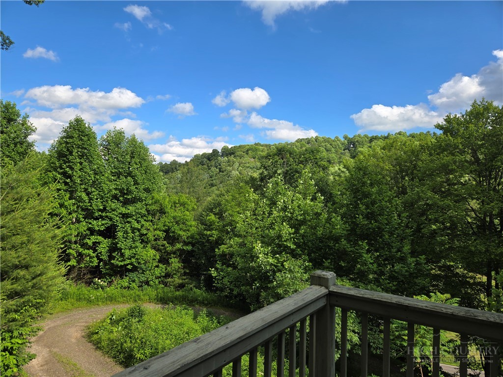 7568 Big Laurel Road Creston, NC 28615 - Photo 28 of 29 Gallery Image 28