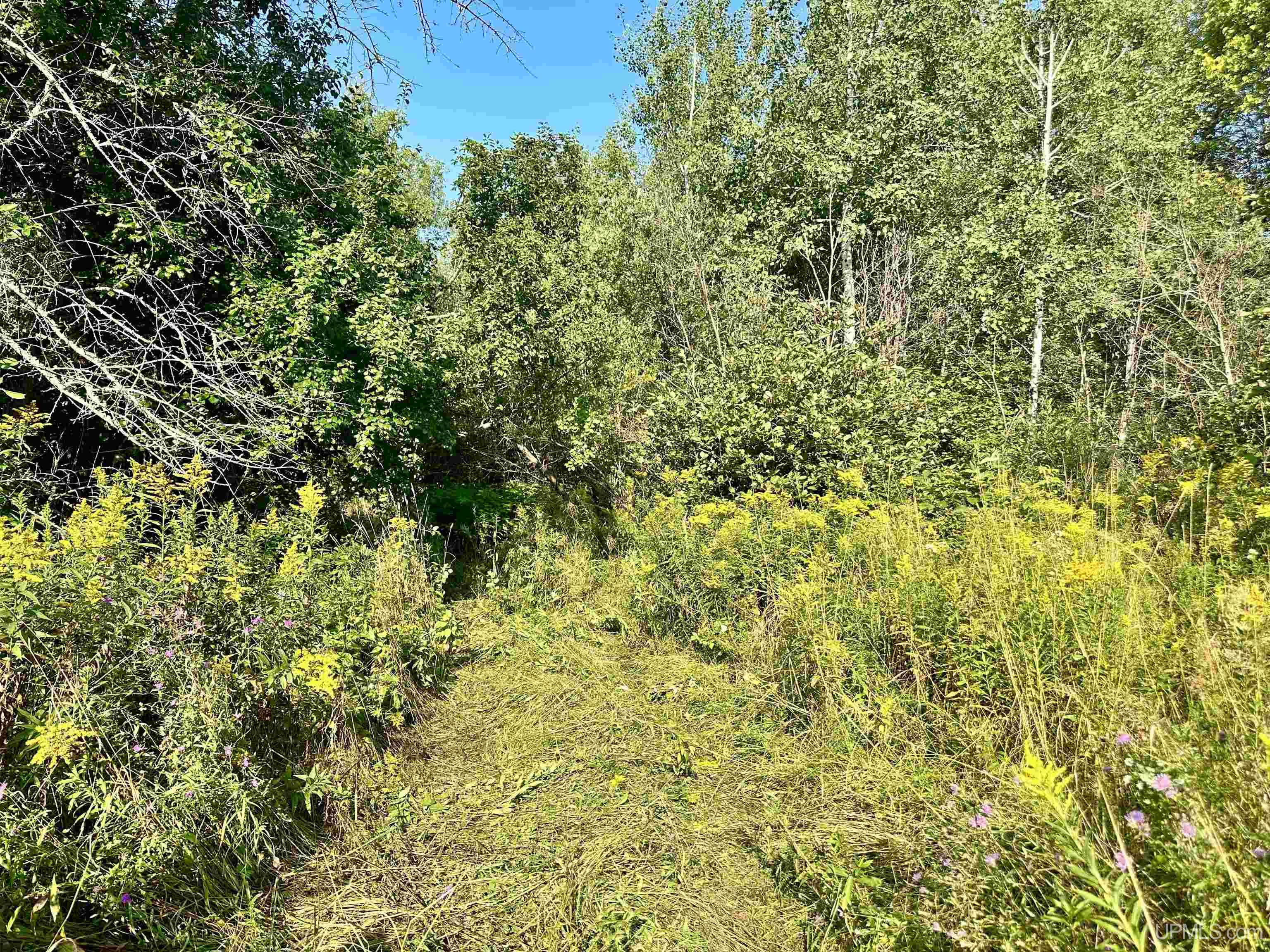 Tbd Crestview Road Ironwood, MI 49938 - Photo 46 of 49