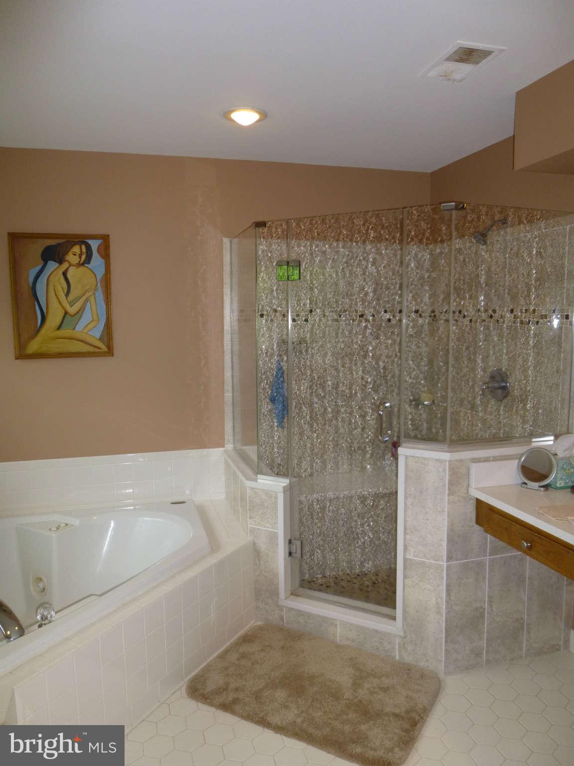 20004 Hickman Way Poolesville, MD 20837 - Photo 17 of 30 Bath (Master)