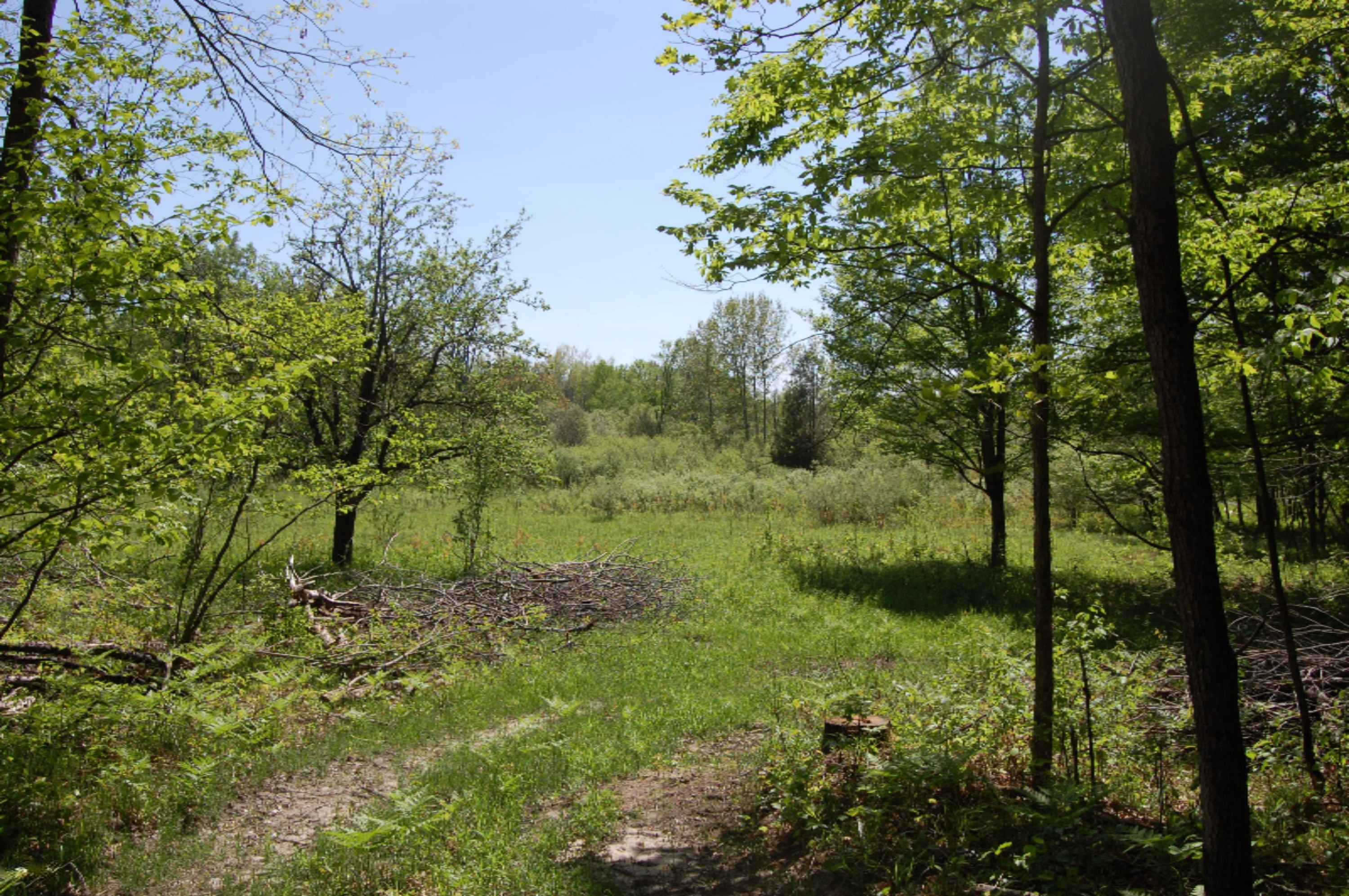 10530 South 9 Road Cadillac, MI 49601 - Photo 54 of 70 DSC_0703