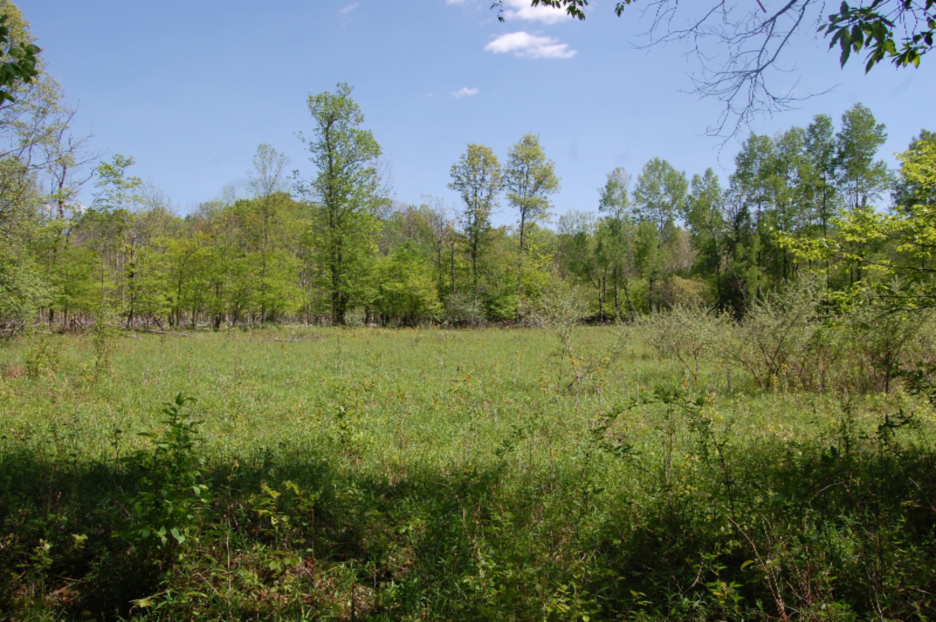10530 South 9 Road Cadillac, MI 49601 - Photo 62 of 70 DSC_0698