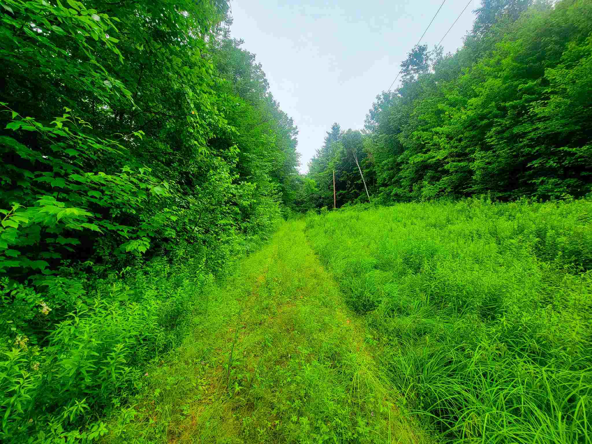 41 Pike Farm Road, Unit 3 Wardsboro, VT 05360 - Photo 14 of 40