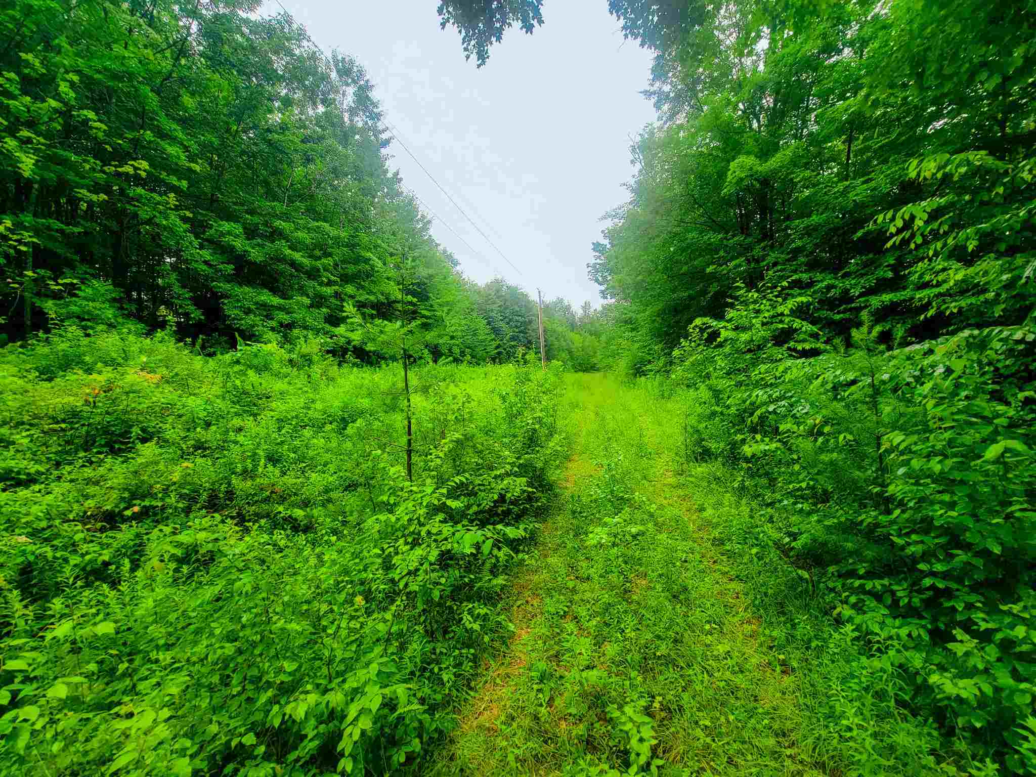 41 Pike Farm Road, Unit 3 Wardsboro, VT 05360 - Photo 4 of 40