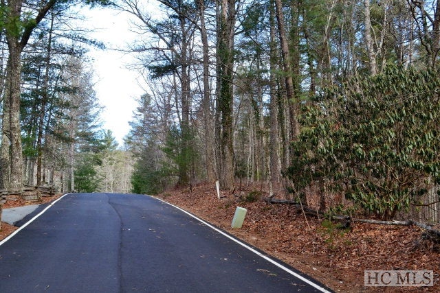 Lot 39 Piney Ridge Rd Court Sapphire, NC 28774 - Photo 1 of 1 Gallery Image 1