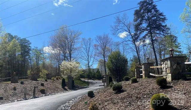 a view of a backyard with plants and trees