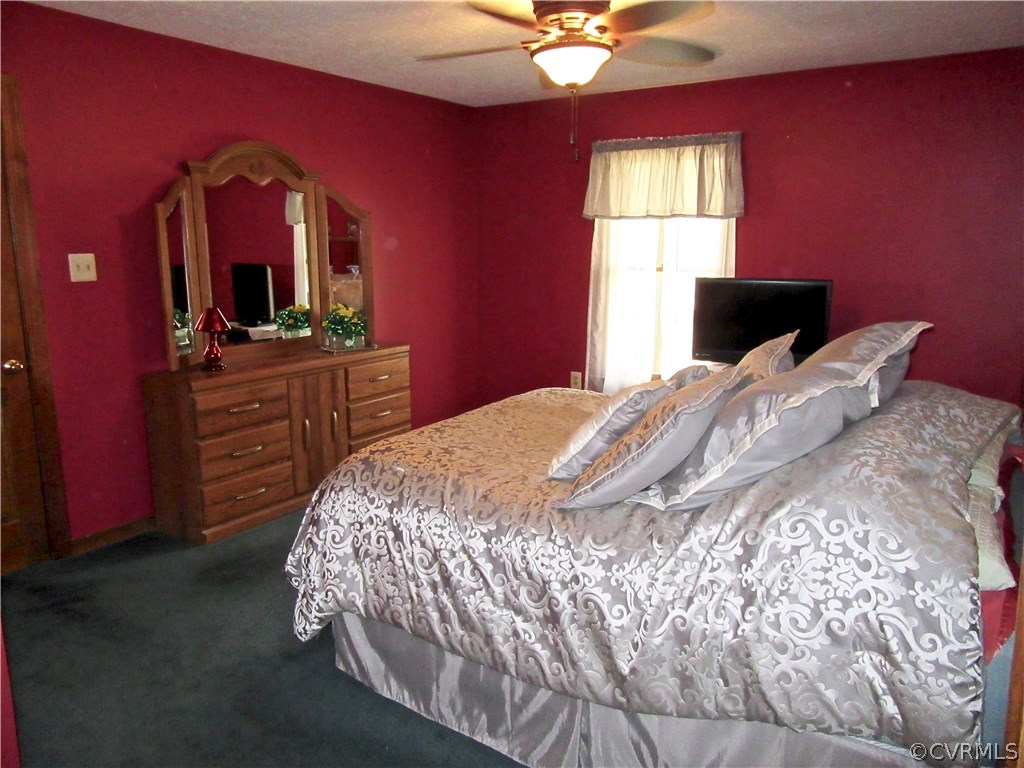 6627 Sycamore Road Quinton, VA 23141 - Photo 12 of 25 Another View of the Master Bedroom!