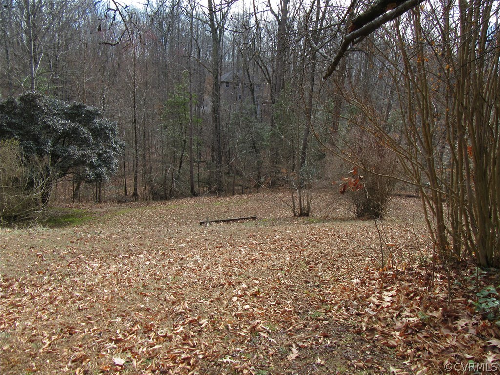 6627 Sycamore Road Quinton, VA 23141 - Photo 23 of 25 The Wooded and Park-like Property puts up a Natura