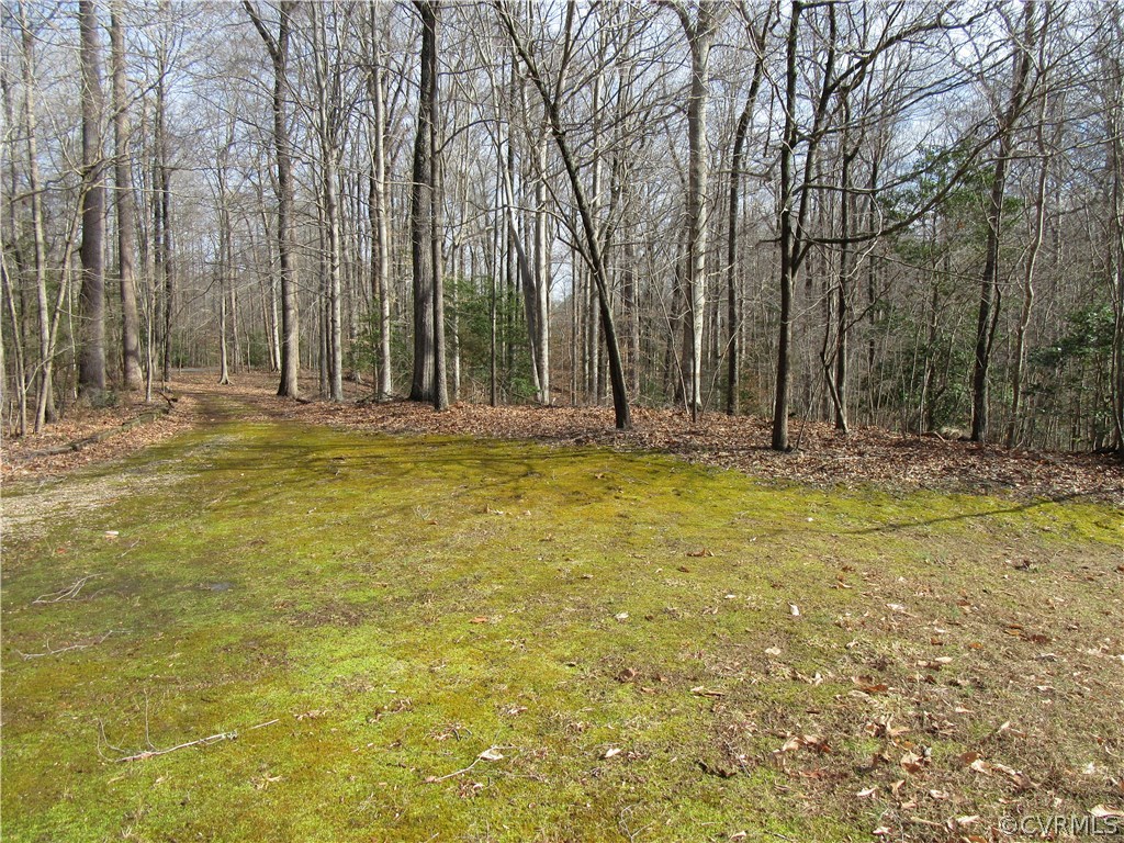 6627 Sycamore Road Quinton, VA 23141 - Photo 24 of 25 The Rear Deck measures 11x10 and is Great for Gril