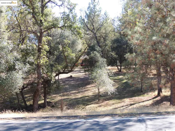 a view of a yard with large trees