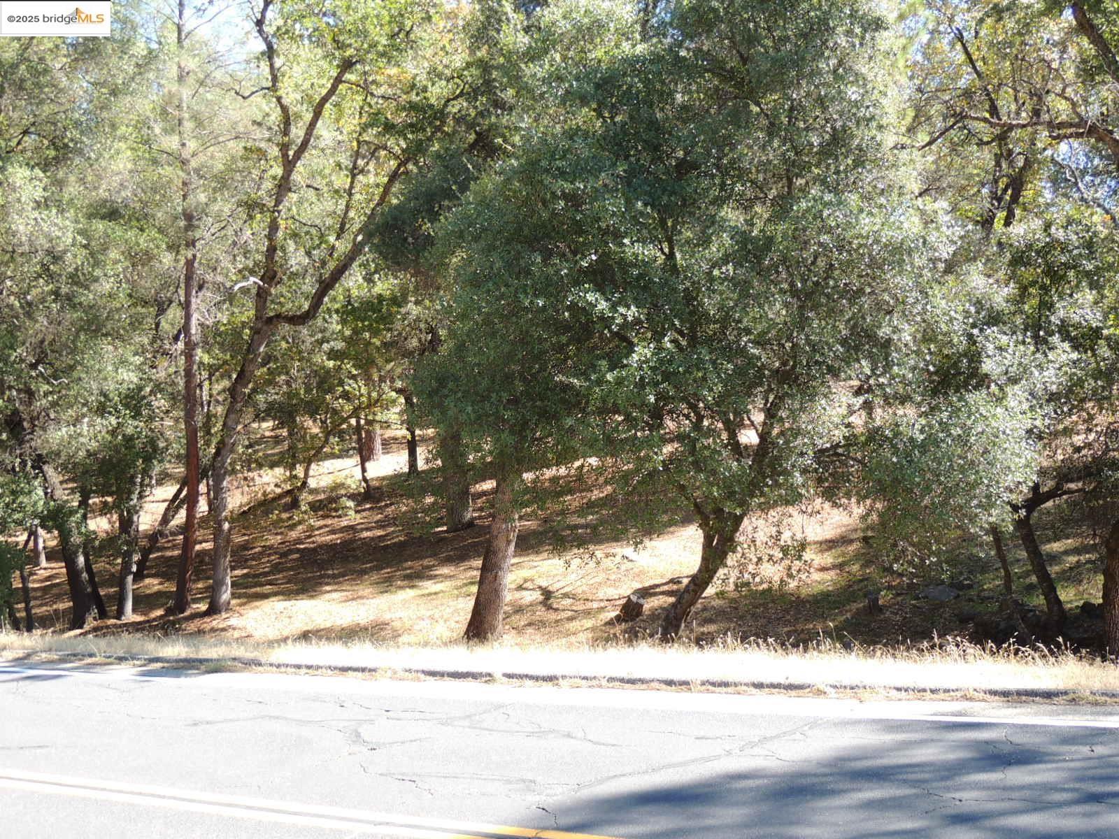 7-62a Ferretti Road Groveland, CA 95321 - Photo 2 of 28 a view of a yard covered with snow on the road