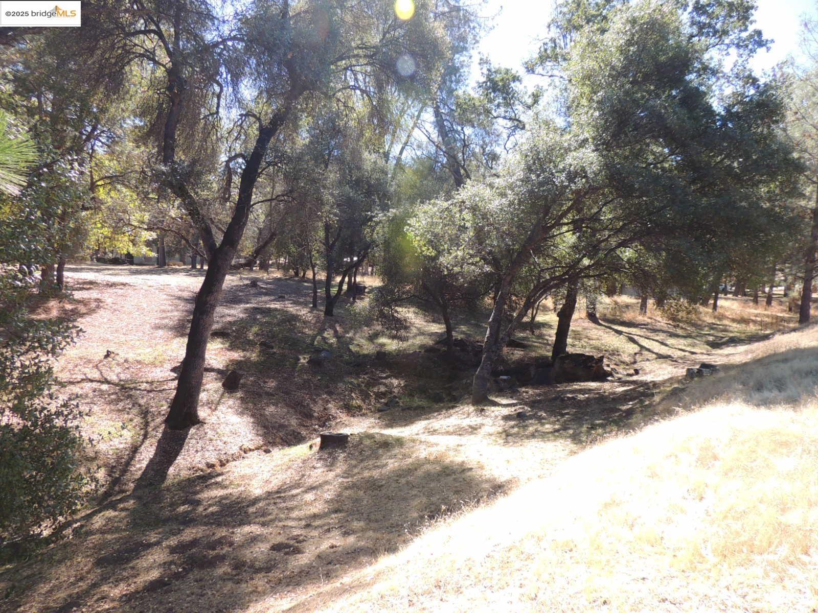 7-62a Ferretti Road Groveland, CA 95321 - Photo 6 of 28 a view of snow on the side of a road