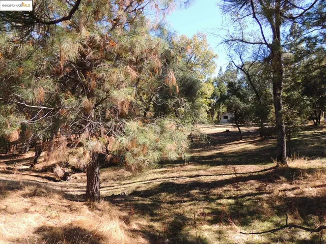 a view of road with trees