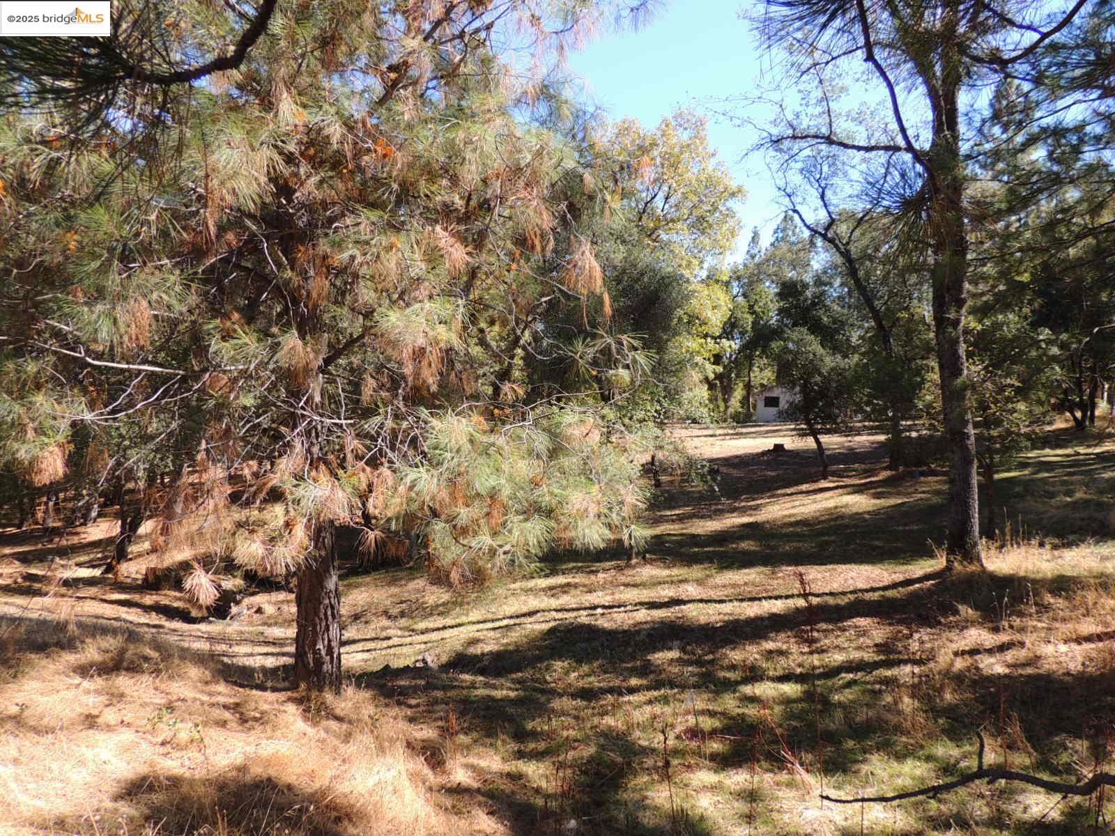 7-62a Ferretti Road Groveland, CA 95321 - Photo 7 of 28 a view of road with trees