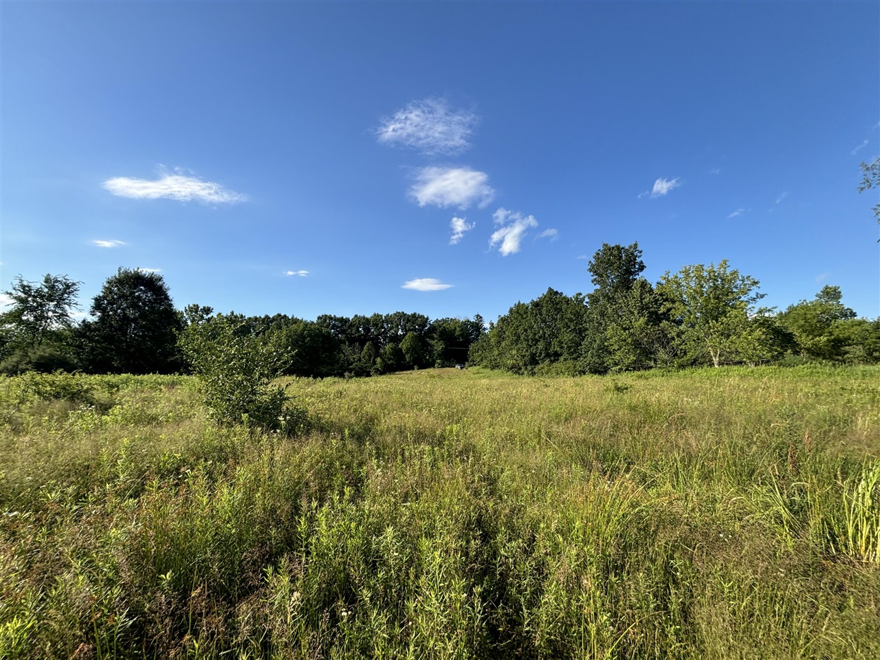 38.14 Northeast A Ne Hayes Road Comstock Park, MI 49321 - Photo 6 of 38