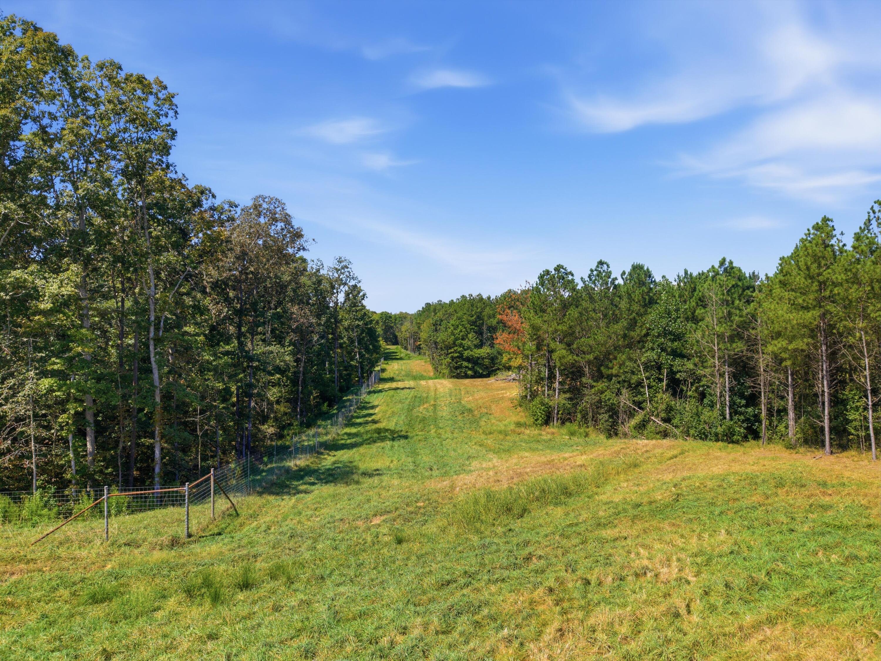 1411 Johnson Road Southeast Cleveland, TN 37323 - Photo 10 of 11 10-1411JohnsonRdSE-9