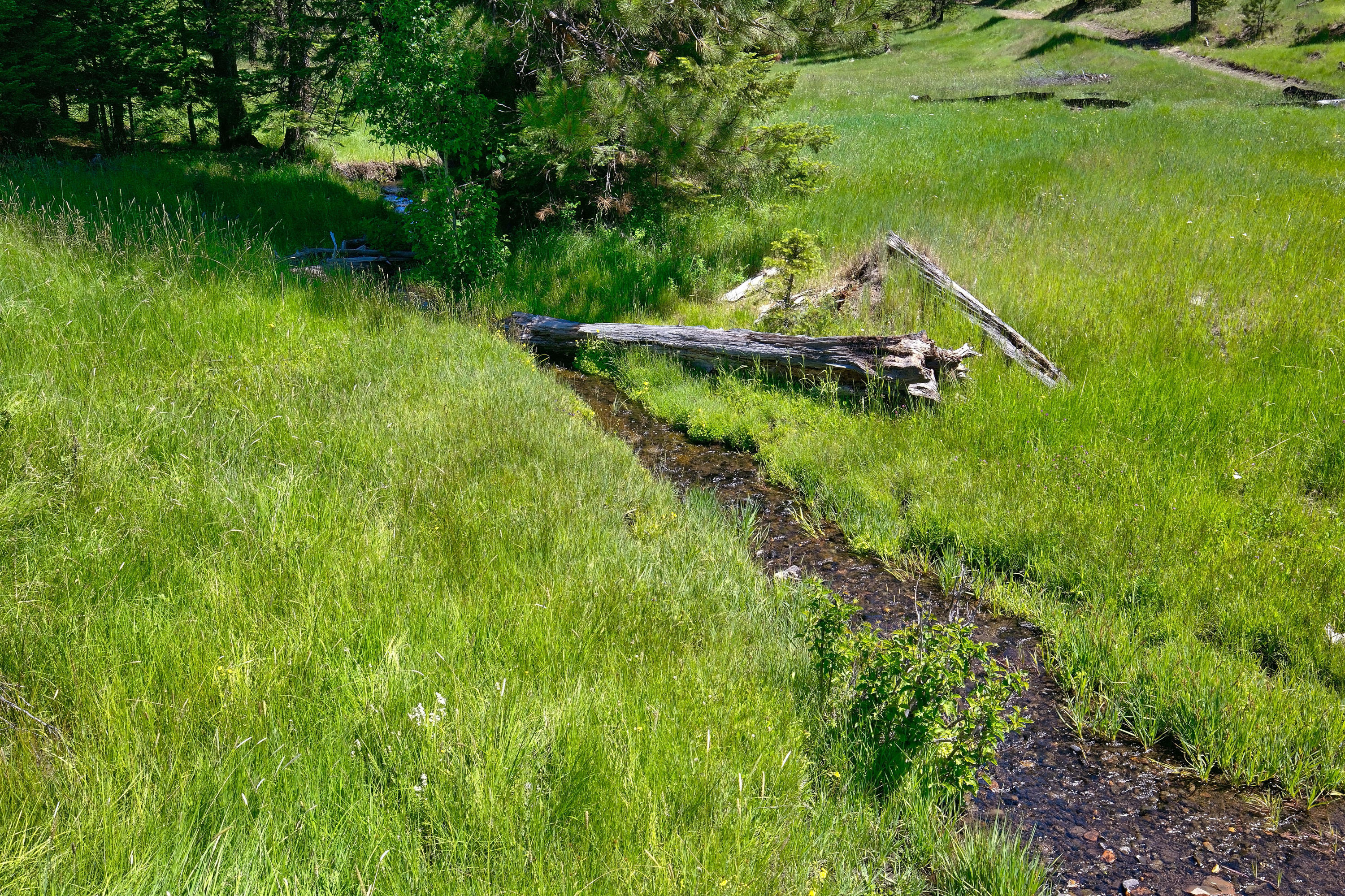 21762 Badger Creek Road Mitchell, OR 97750 - Photo 29 of 54 29 Badger Creek Ranch_020