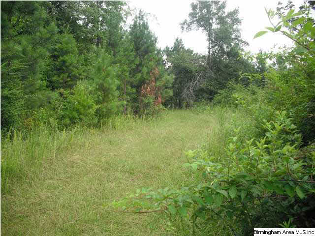 Sardis Road, Unit 1 Lineville, AL 36266 - Photo 7 of 22