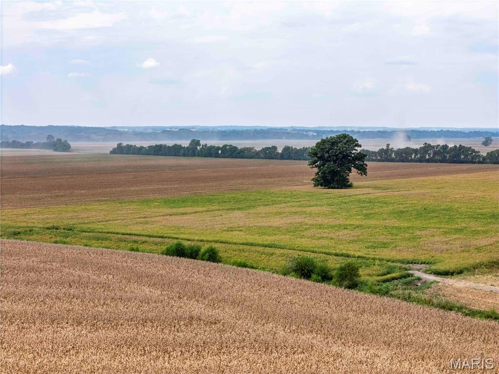 0 Bond Road St. Mary, IL 63673 - Photo 8 of 62 Gallery Image 8
