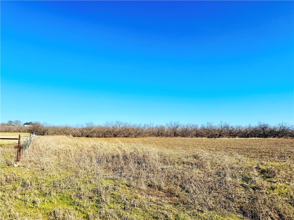 66.5-ac Alexander Road Moody, TX 76557 - Photo 10 of 21